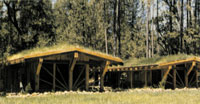 California lumber sawed with mobile sawmill